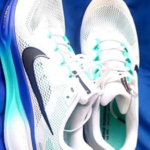 Nike Air Zoom Pegasus 41 White Black Men's